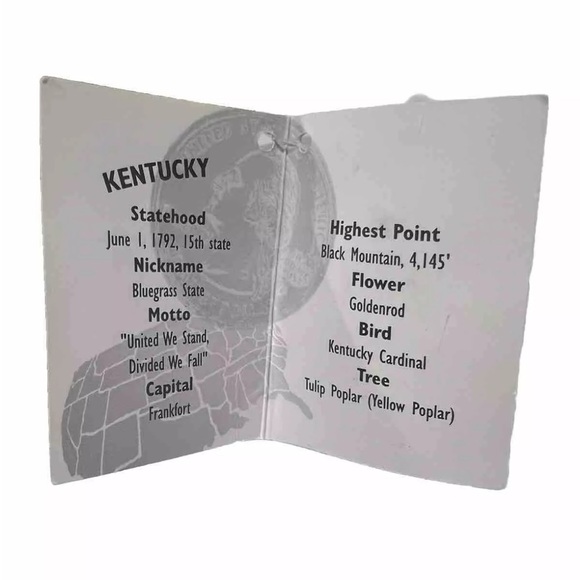 Quarter Cuddlers Mary Meyer Kentucky State Bear Stuffed Plush Toy 8” NWT - Picture 3 of 3